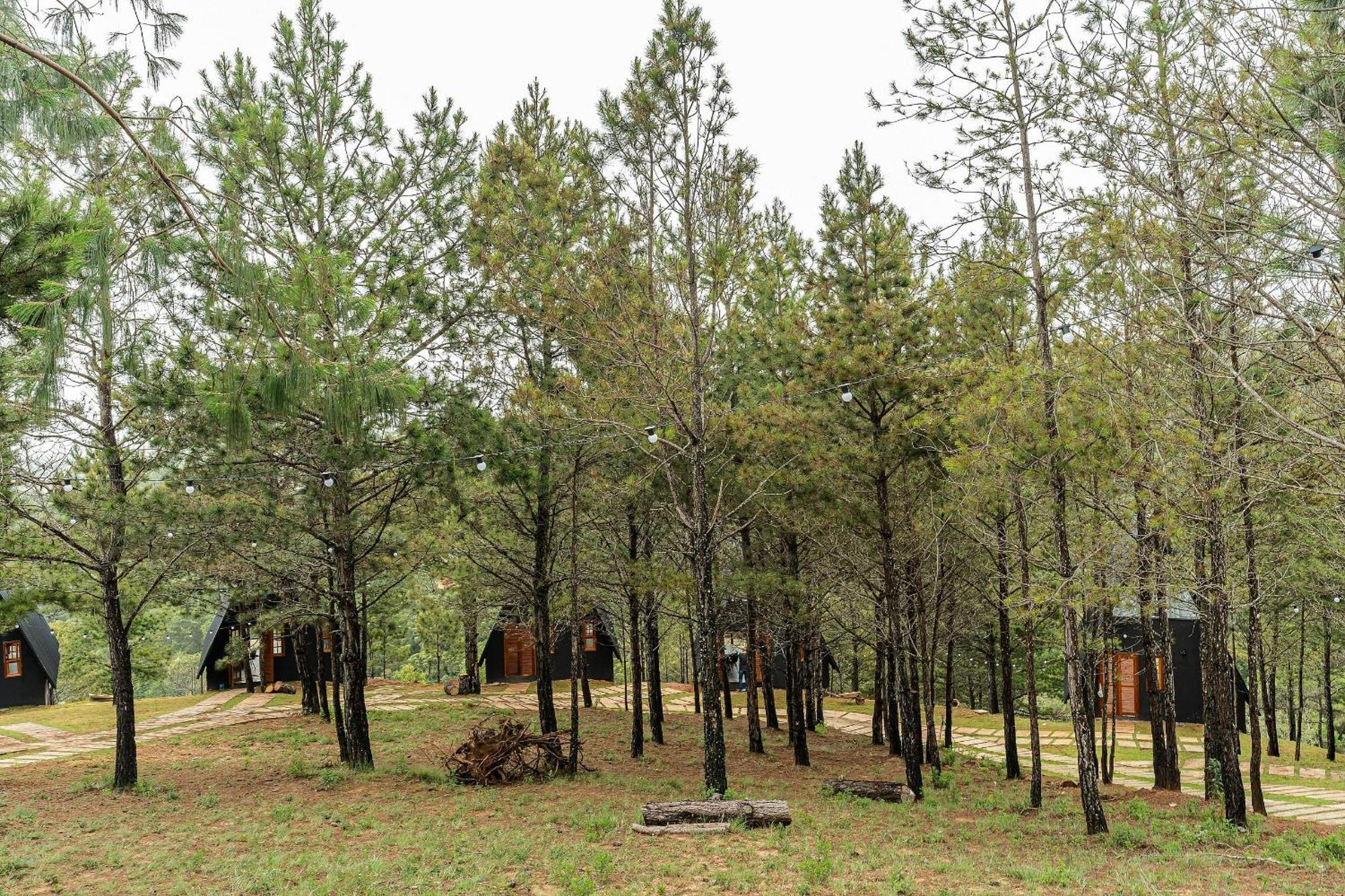 Chales Naturale - Campos Do Jordao - Cna Bagian luar foto